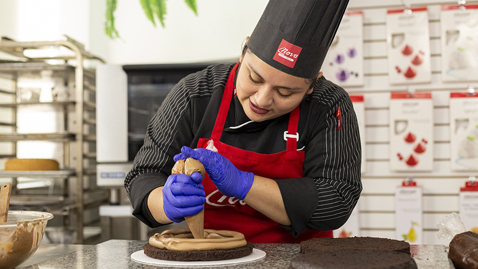 nova-escuela-programa-virtual-pasteleria-aula-virtual